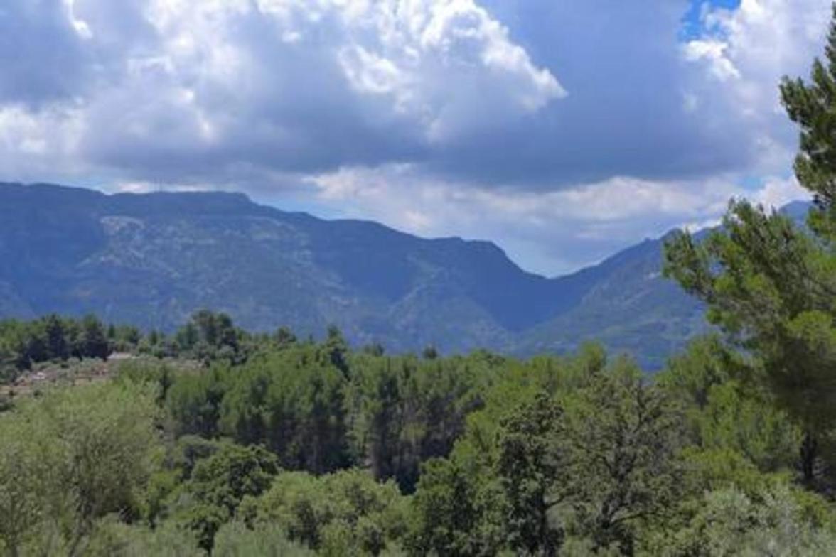 Es Mirador * Fornalutx